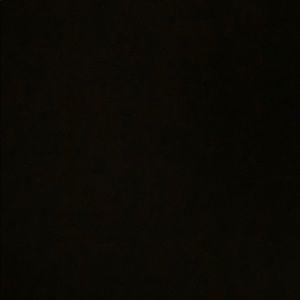 Meet your Posher, Leena